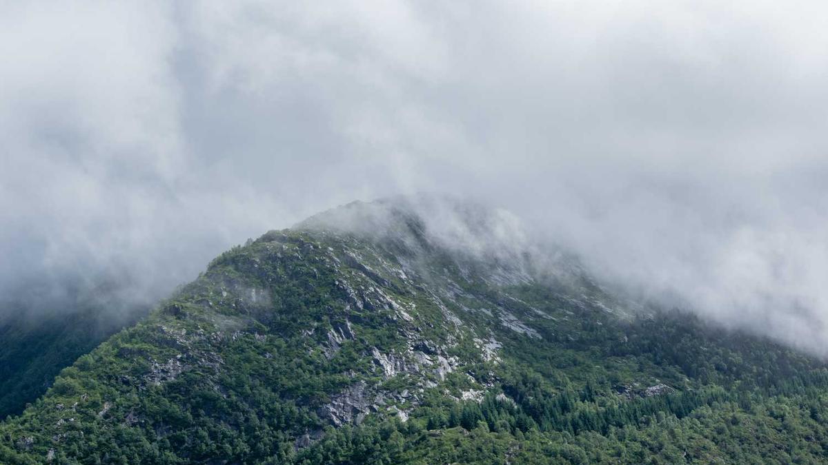 把浏览垃圾邮件的五分钟，视为接收来自平行世界混乱信息的通道