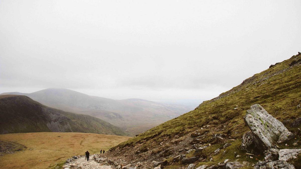 体育院校教授将国家队训练数据包装成论文发表，损害战术秘密，为个人学术履历镀金。