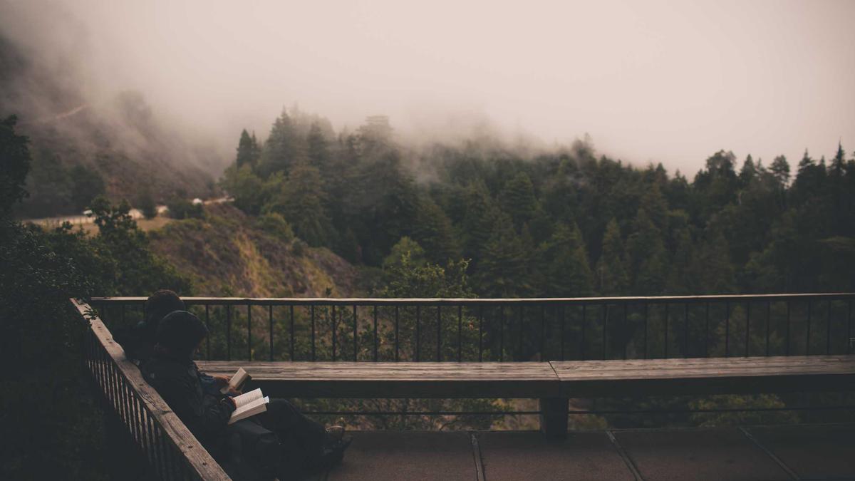 体育赌博与相关犯罪进化